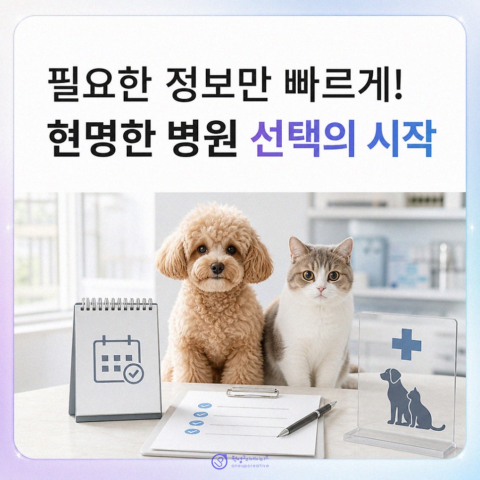 동물병원마케팅