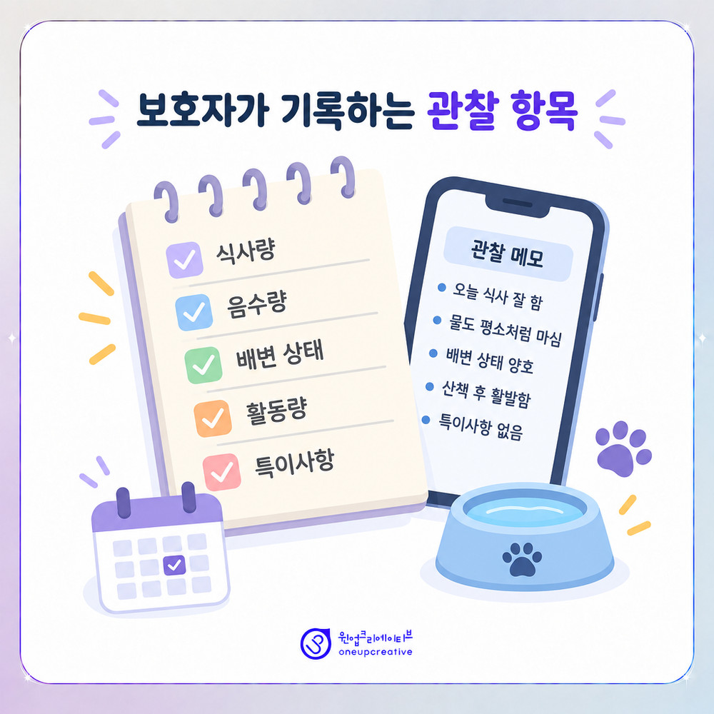 보호자가 내원 전 기록해 오는 관찰 항목 정리 이미지